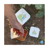 Pieter Konijn set van 3 lunchdoosjes